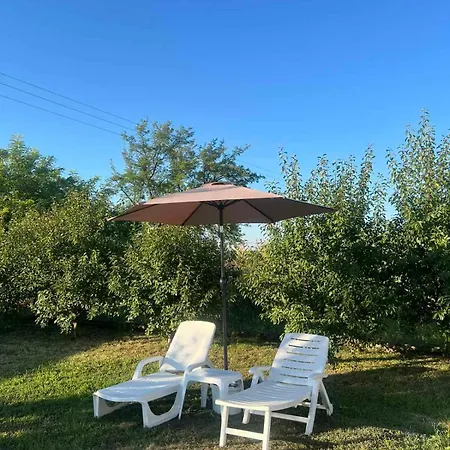 Kuca Sa Bazenom Oazis